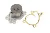 Помпа води Renault Clio/Scenic/Megane/Kangoo/Nissan Qashqai/Juke 0.9-1.2-1.4TCe/1.6 09- VKPC92939