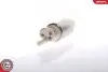 Електричний паливний насос SKV FIAT MPI/NEXIA/ESPERO/MATIZ plastik 0580986350 SKV GERMANY (02SKV209) зображення 1