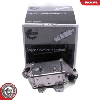 Клапан EGR SKV GERMANY 14SKV249