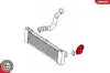 Патрубок інтеркулера (L) MB Vito (W639) 03- (OM646) SKV GERMANY (24SKV158) зображення 4
