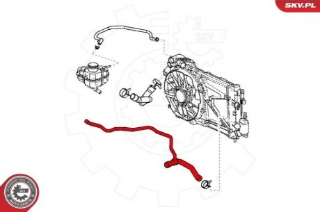 Шланг радіатора SKV GERMANY 24SKV321 (фото 1)