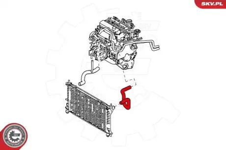 Патрубок с-ми охлаждения Ford Focus 1.4 16V,1.6 16V 99-11 SKV GERMANY 24SKV342