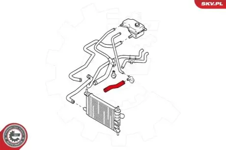 Патрубок інтеркулера FORD Fiesta IV 1.0 1.3 Ka 1.0 SKV GERMANY 24SKV348