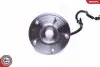 Комплект подшипника колеса. SKV GERMANY (29SKV396) изображение 4