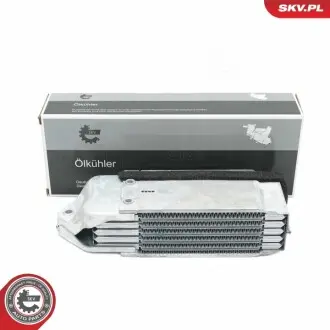 Автозапчасть SKV GERMANY 31SKV209