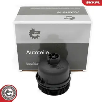 Автозапчасть SKV GERMANY 31SKV261