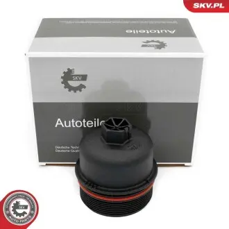Автозапчастина SKV GERMANY 31SKV265