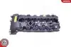 Кришка клапанів BMW 3 (E90)/5 (E60)/7 (F01/F02/F03/F04) 3.0 04-13 (N54/N55) SKV GERMANY (48SKV002) зображення 1