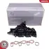 Впускной коллектор VW Polo SKODA Fabia II SEAT Ibiza IV SKV GERMANY (49SKV080) изображение 1
