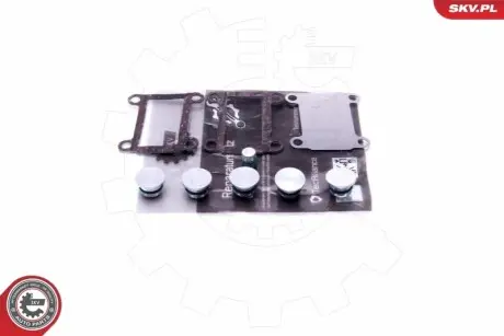 Ремонтный комплект ALFA ROMEO 2.4 JTD Multijet FIAT 2.4 JTD Multijet LANCIA 2.4 JTD Multijet SKV GERMANY 49SKV526