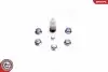 Ремонтный комплект ALFA ROMEO 2.4 JTD Multijet FIAT 2.4 JTD Multijet LANCIA 2.4 JTD Multijet SKV GERMANY (49SKV533) изображение 2