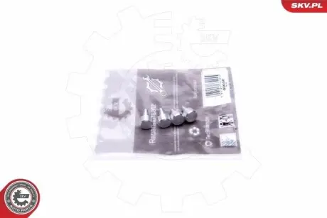 Ремонтный комплект ALFA ROMEO 1.9 JTD MultiJet FIAT 1.9 JTD MultiJet OPEL 1.9 CDTI SKV GERMANY 49SKV547