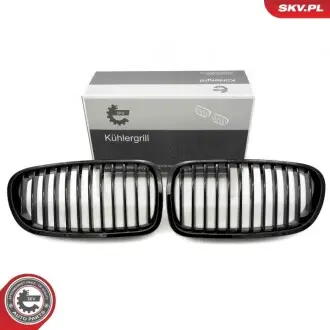 Решітка радіатора SKV GERMANY 66SKV179