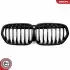 Решетка радиатора BMW X1 F48 F49 SKV GERMANY (66SKV242) изображение 2