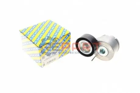 Фото Натяжник ременя генератора Citroen Nemo/Fiat Fiorino/Peugeot Bipper/Opel Combo 1.3JTD 10- SNR NTN (GA35819) зображення 1