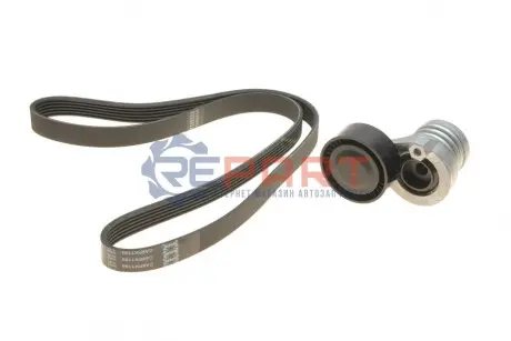 Комплект ременя генератора Renault Kangoo 1.5dCi 09- (6PK 1194) SNR NTN KA855.27 Купити в Україні