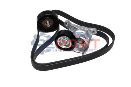 Фото Комплект поліклинових ременів SNR NTN (KA85911) зображення 1