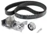 Комплект ГРМ (ремінь + ролик + водяний насос) RENAULT CLIO I, MEGANE I, MEGANE I CLASSIC, MEGANE SCÉNIC 1.4 01.91-08.03 SNR NTN KDP455050