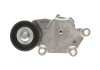 Натяжник ремня генератора Citroen/Peugeot/Ford 1.4HDi/1.6TDCi 01- 110022