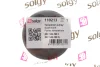 Фото Ролик генератора VW Caddy 1.2TSI/Skoda Roomster 1.2TSI (натяжний) (65x24) (підшипник SNR) Solgy (110213) зображення 2