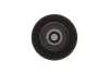Ролик генератора Hyundai Tucson/Santa Fe 2.0/2.2CRDi 04-12 (69.9x27.6) (паразитний) Solgy (110218) зображення 3