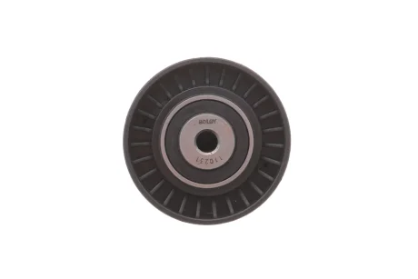 Ролик генератора Audi A4/A6/A8 2.0/2.7/3.0 TDI/VW Touareg 3.0 TDI 04- (паразитный) (65х26) Solgy 110231