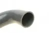 Фото Патрубок інтеркулера Renault Megane III/Scenic III 1.9 dCi 08 Solgy (114194) зображення 6