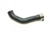 Фото Патрубок інтеркулера Dacia Duster/Renault Clio IV/Captur 1.2 TCe 13 Solgy (114208) зображення 1