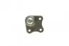 Фото Опора кульова (передня/знизу/L) Audi A3/VW Golf IV 1.6/1.9TDI 97-06 Solgy (203016) зображення 2