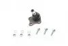 Фото Опора кульова (передня/знизу/R) Audi A3/VW Golf IV 1.6/1.9TDI 97-06 Solgy (203017) зображення 1