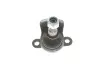 Фото Опора кульова (передня/знизу) VW Sharan 1.9TDI/2.0TDI 95 Solgy (203053) зображення 4