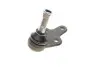Фото Опора кульова (передня/знизу) Ford Focus II 1.4-2.0TDCi 04-12/C-Max 07-10/Volvo C30/C70/S40 -02/06 Solgy (203091) зображення 8