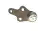 Фото Опора кульова (передня/знизу) Ford Focus II 1.4-2.0TDCi 04-12/C-Max 07-10/Volvo C30/C70/S40 -02/06 Solgy (203091) зображення 9