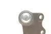 Фото Опора кульова (передня/знизу/R) Audi A1 10-/Seat Ibiza 02-15/Skoda Fabia 99-14/Rapid 12-/VW Polo 01 Solgy (203120) зображення 3