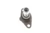 Фото Опора шаровая (передняя/снизу) BMW X3 (E83) 03-11 Solgy (203129) изображение 8