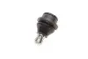 Фото Опора кульова (передня/знизу) Nissan Navara/Pathfinder 04-14 Solgy (203156) зображення 5