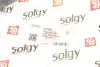 Фото Рычаг подвески (задний) Audi Q7/VW Touareg/Porsche Cayenne 02- (поперечный) Solgy (204124) изображение 2