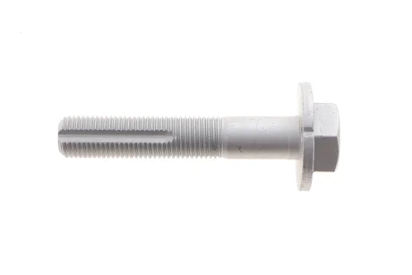 Болт з ексцентриком Solgy 204252