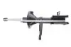 Фото Амортизатор (передний) Land Rover Freelander 00-06 (R) Solgy (211318) изображение 1
