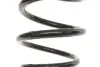 Фото Пружина (задня) MB Vito (W639) 03- (тонка по краю) Solgy (212001) зображення 3