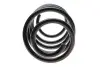 Фото Пружина (передня) VW T5 1.9TDI/Multivan V 1.9 TDI 03-15 Solgy (212022) зображення 4