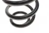 Фото Пружина (задня) Renault Megane II 1.4-2.0/1.5dCi/1.9dCi 03-11 (універсал) Solgy (212024) зображення 2