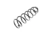 Фото Пружина (задня) Renault Scenic III 1.4-2.0 16V/1.5-2.0dCi 09 Solgy (212064) зображення 6