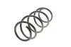 Фото Пружина (передня) Renault Scenic II/Grand Scenic II 1.9dCi/2.0dCi 03-09 (вен) Solgy (212087) зображення 1