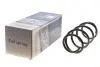 Фото Пружина (передня) Renault Scenic II/Grand Scenic II 1.9dCi/2.0dCi 03-09 (вен) Solgy (212087) зображення 2