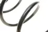 Фото Пружина (передня) Renault Scenic II/Grand Scenic II 1.9dCi/2.0dCi 03-09 (вен) Solgy (212087) зображення 4