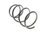 Фото Пружина (передня) Nissan X-Trail 2.2DCi/DI 4x4/dCi 4x4 01-07/2.2dCi 03-13 (T30) (SUV) Solgy (212089) зображення 4