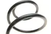 Фото Пружина (передня) Ford Mondeo III 2.0-2.2TDCi/TDDi/DI 00-07 (седан/унив/нак.зад.ч)(без спорт.ход.ч) Solgy (212090) зображення 2