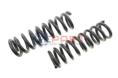 Пружина (передня) Nissan NP300 Navara 2.5dCi 4WD 05 Solgy 212125 Купить в Украине