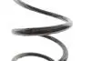 Фото Пружина (задня) Toyota Rav 4 II 2.0 4WD/2.0D 4WD 00-05 Solgy (212127) зображення 3